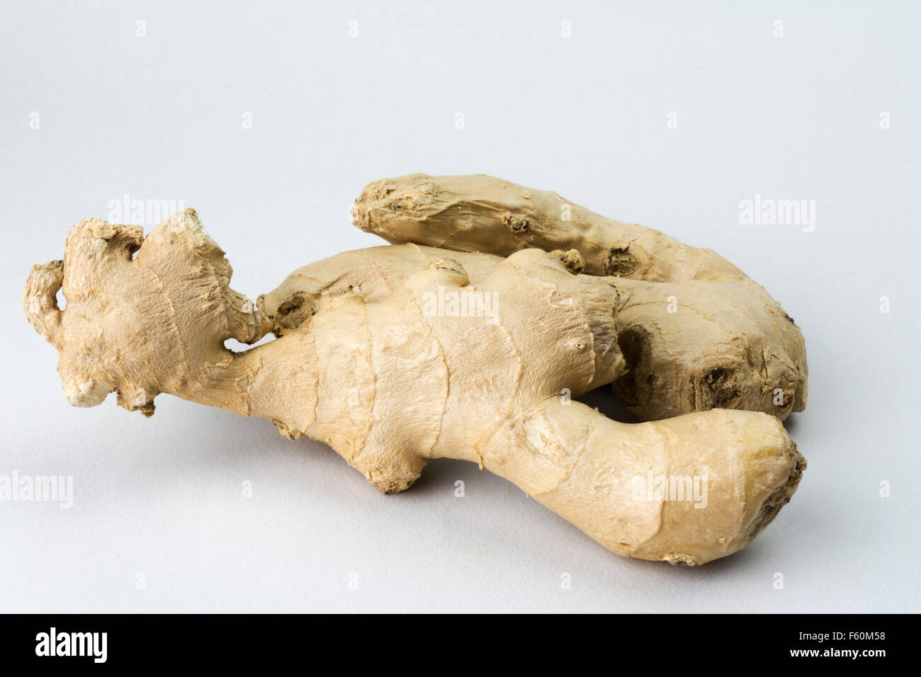 Fresh Ginger (Zingiber officinale) Root Stock Photo Alamy