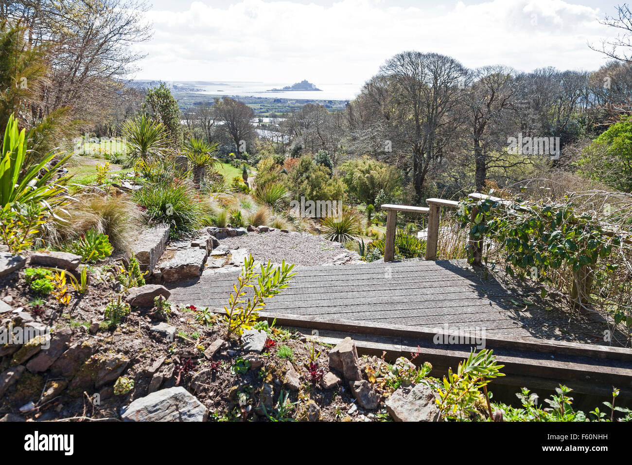 wooden boardwalk and view towards St Michael's mount at the Tremenheere