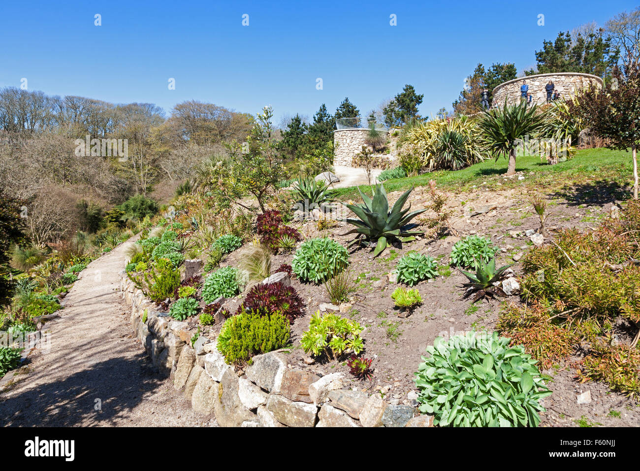 The observation towers or platforms at Tremenheere Sculpture Gardens
