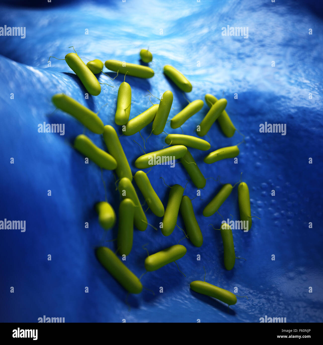 medical bacteria illustration of the Pseudomonas aeruginosa Stock Photo