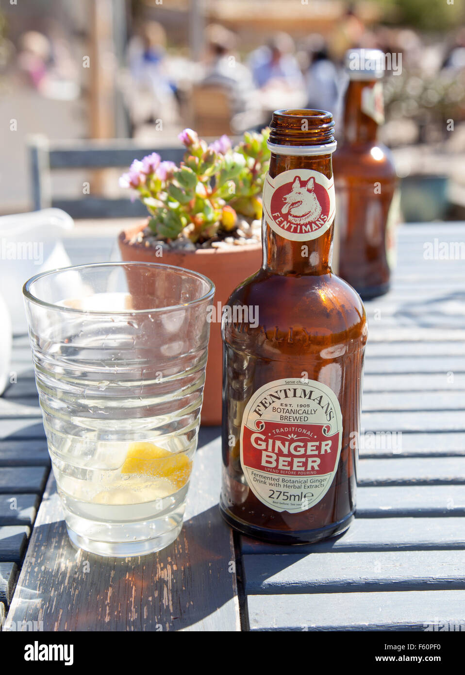 A bottle of Fentimans Ginger Beer and a glass on a wooden table in the summer Stock Photo