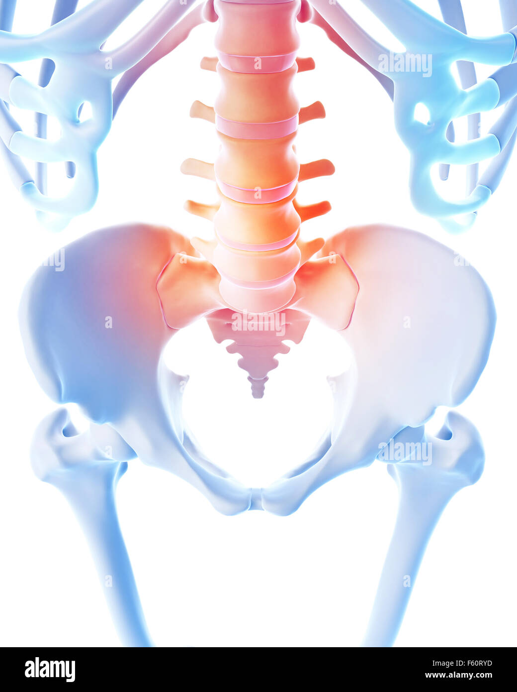 medical 3d illustration of a painful lumbar spine Stock Photo - Alamy
