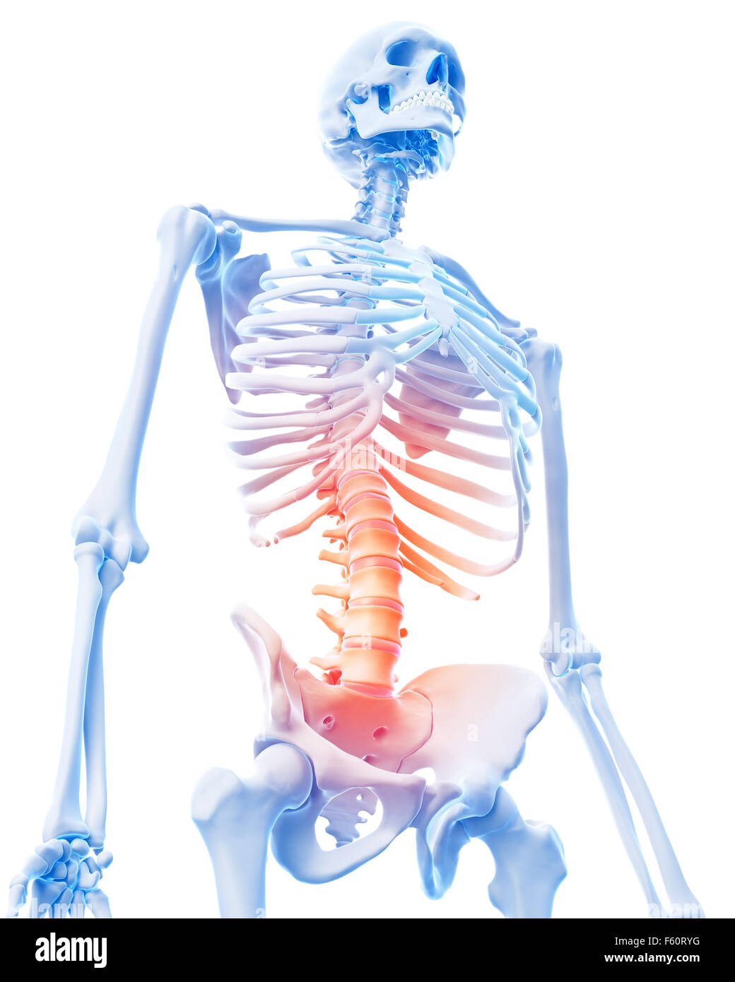 medical 3d illustration of a painful lumbar spine Stock Photo