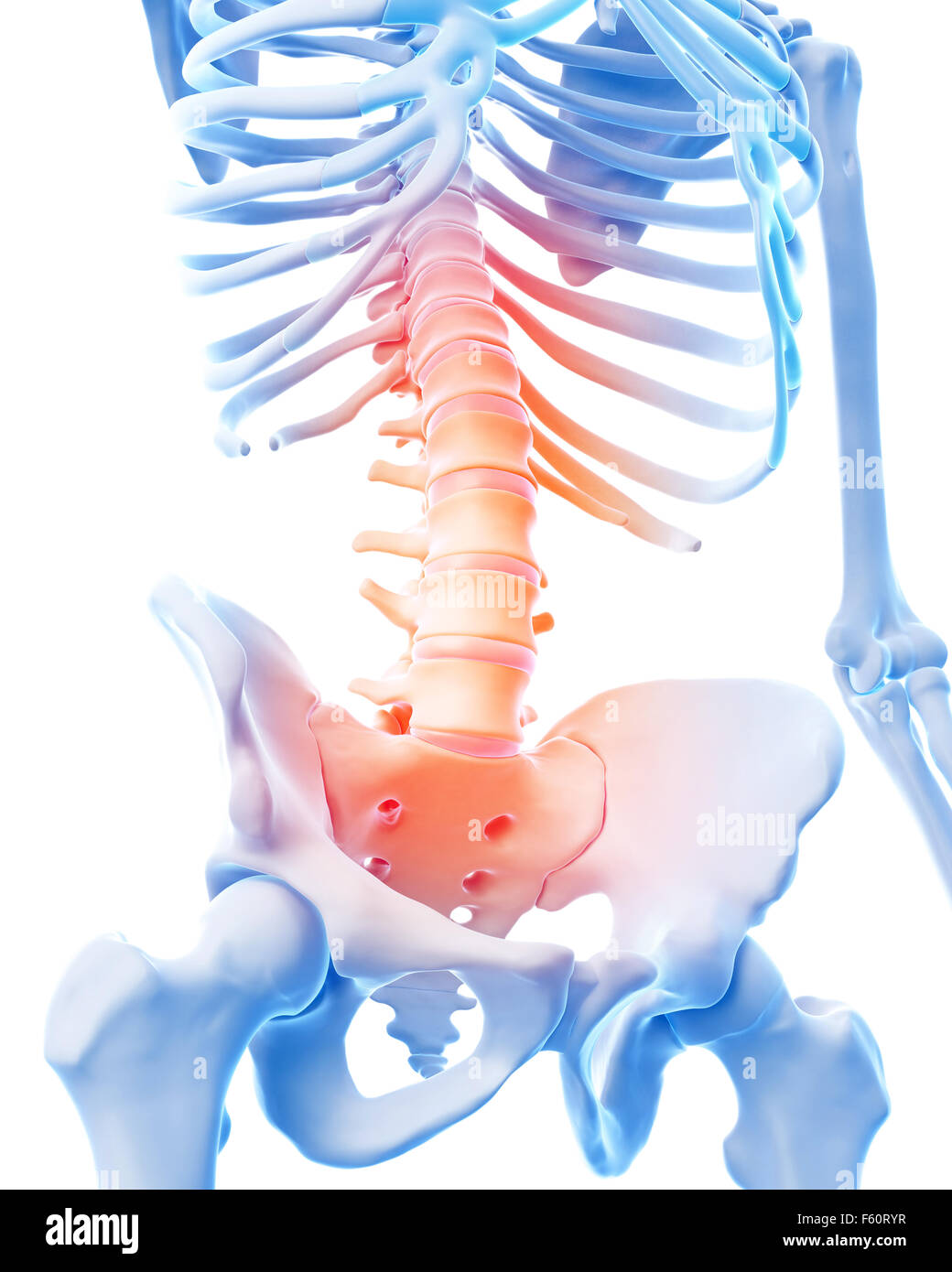 medical 3d illustration of a painful lumbar spine Stock Photo - Alamy