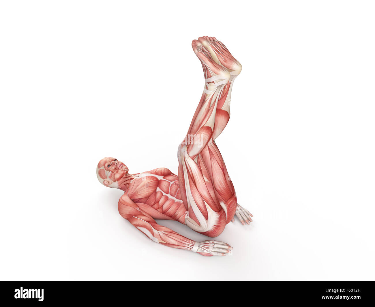 exercise illustration - pulse up Stock Photo - Alamy