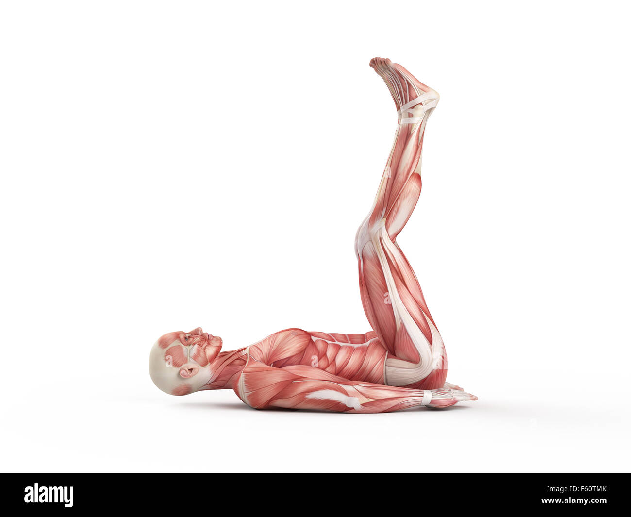 exercise illustration - pulse up Stock Photo - Alamy