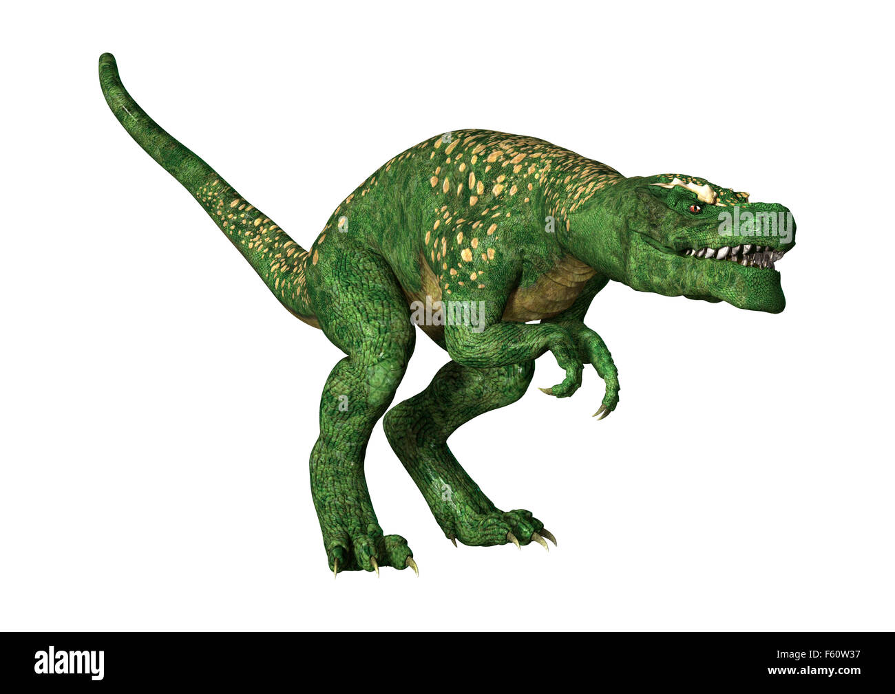 3D digital render of a dinosaur tyrannosaurus isolated on white background Stock Photo