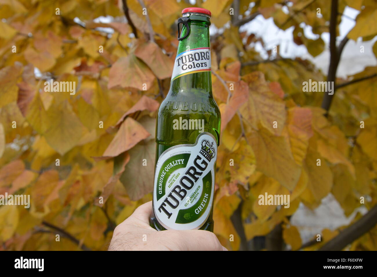 Tuborg Beer Wallpaper Hd Wallpaper Dean