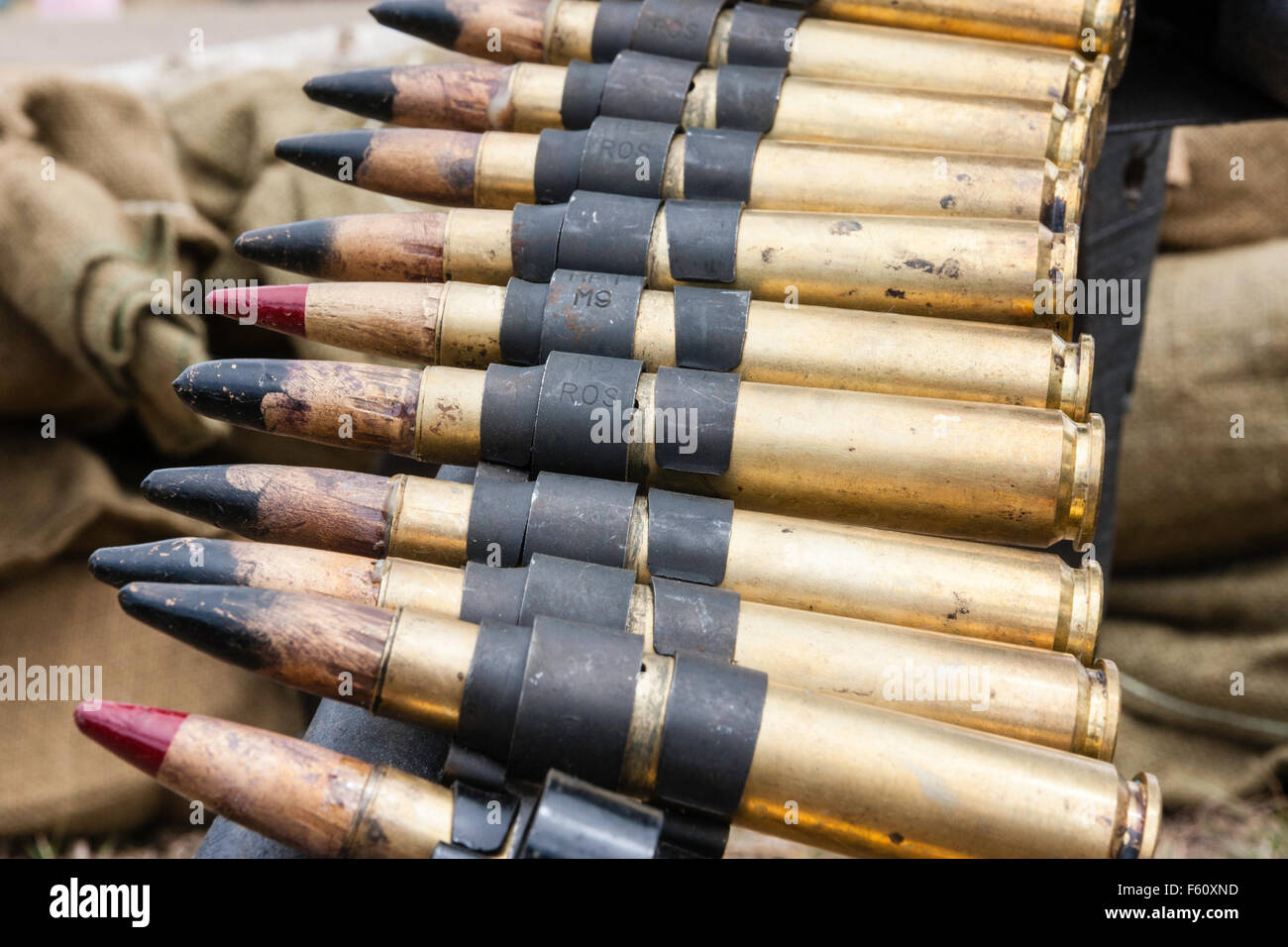 Belt of machine gun bullets, every fifth one a red-tipped armor-piercing incendiary tracer round (M20), four to one tracer. Stock Photo