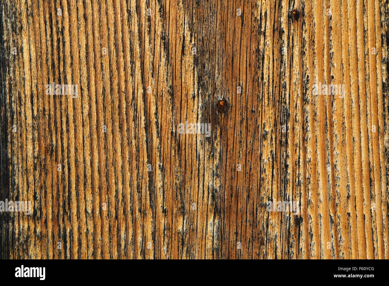 Natural background of wooden planks showing fine details of wooden grain. Stock Photo