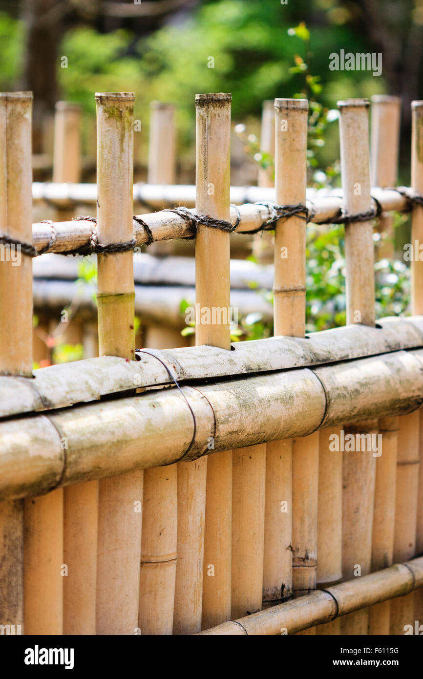 Japan, Kyoto, Nison-in temple. Top of bamboo fence with black string ...