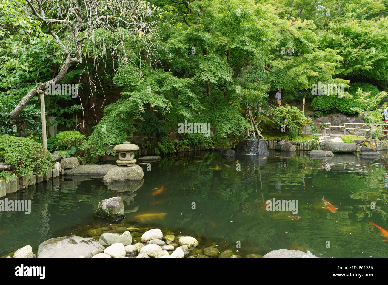 A traditional koi pond in a garden in Japan. Stock Photo