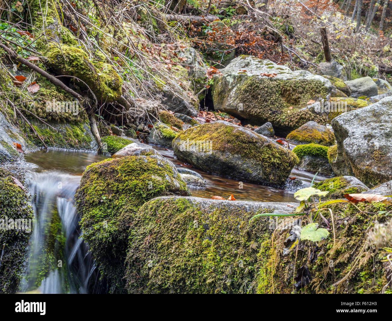 Mountain brook with mossy boulders in the Tatra mountans, Poland Stock Photo