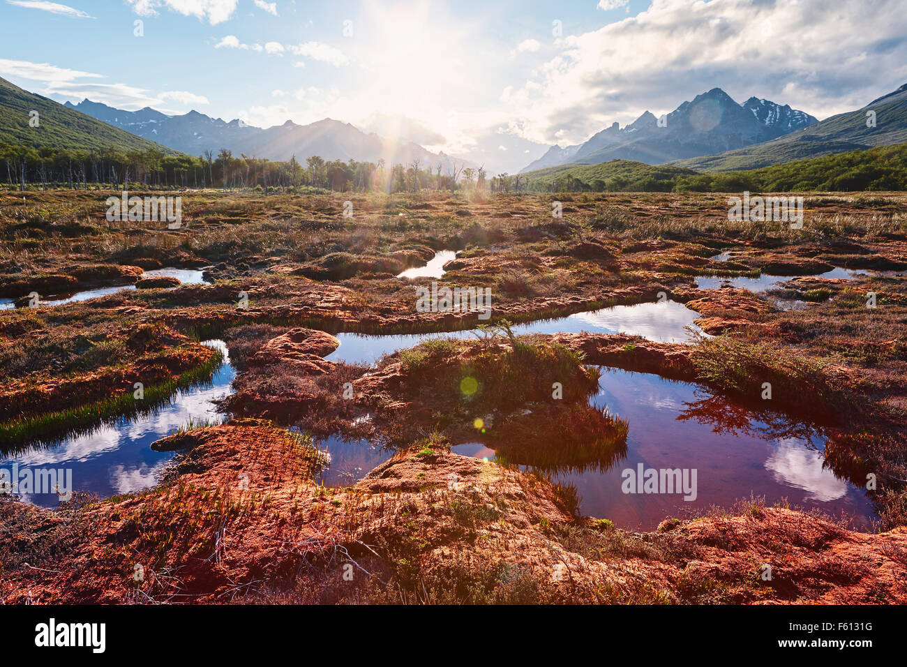Backlit bog, Tierra del Fuego National Park, Argentina Stock Photo