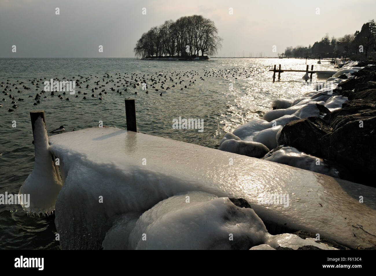 Icy pier and ducks during the February 2012 European cold wave in Rolle, Lake Geneva, Canton of Vaud, Switzerland Stock Photo
