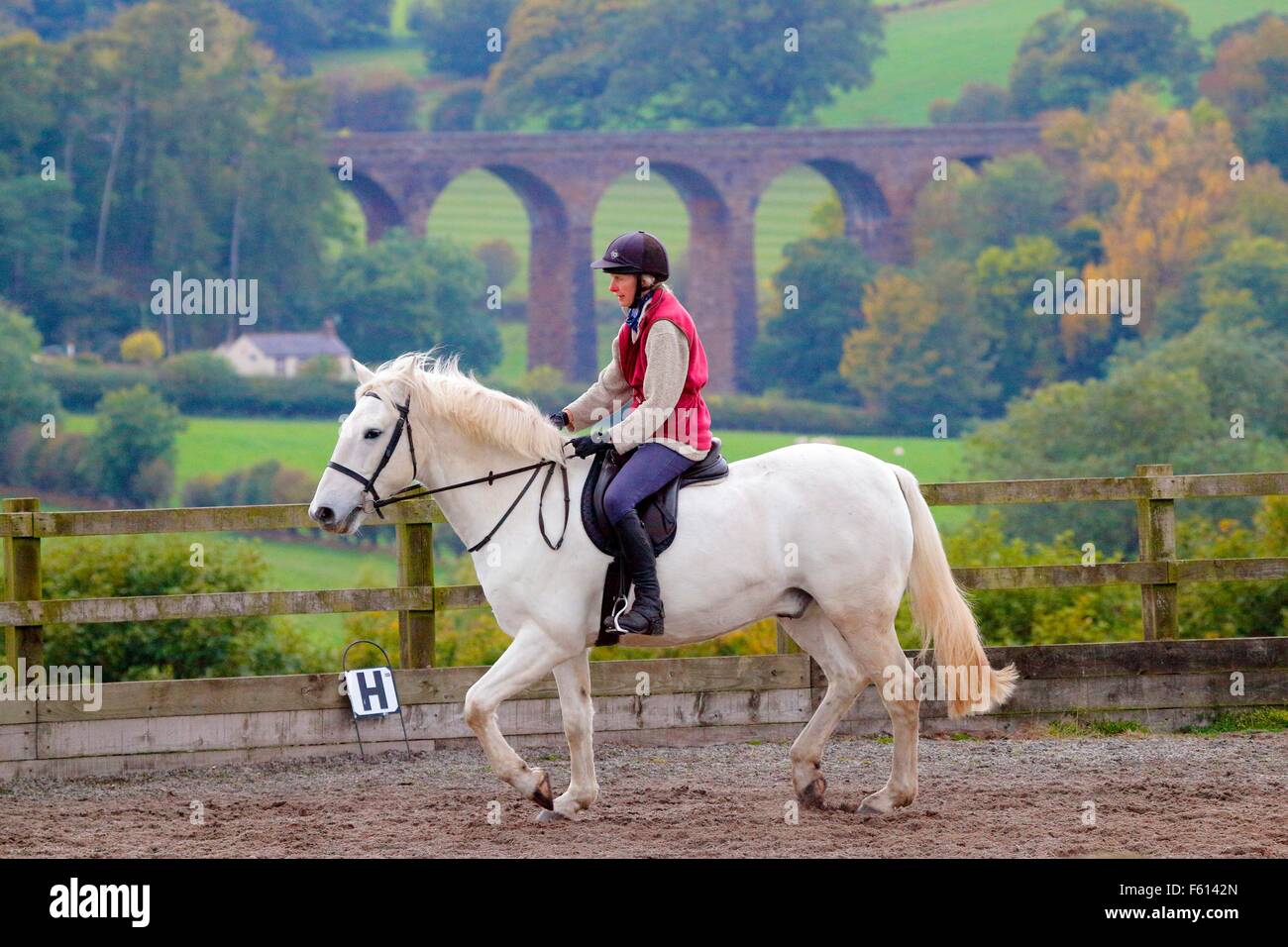 Woman rider practicing dressage in paddock. In the background Dry Beck Viaduct, Armathwaite, Eden Valley, Cumbria, England, UK. Stock Photo