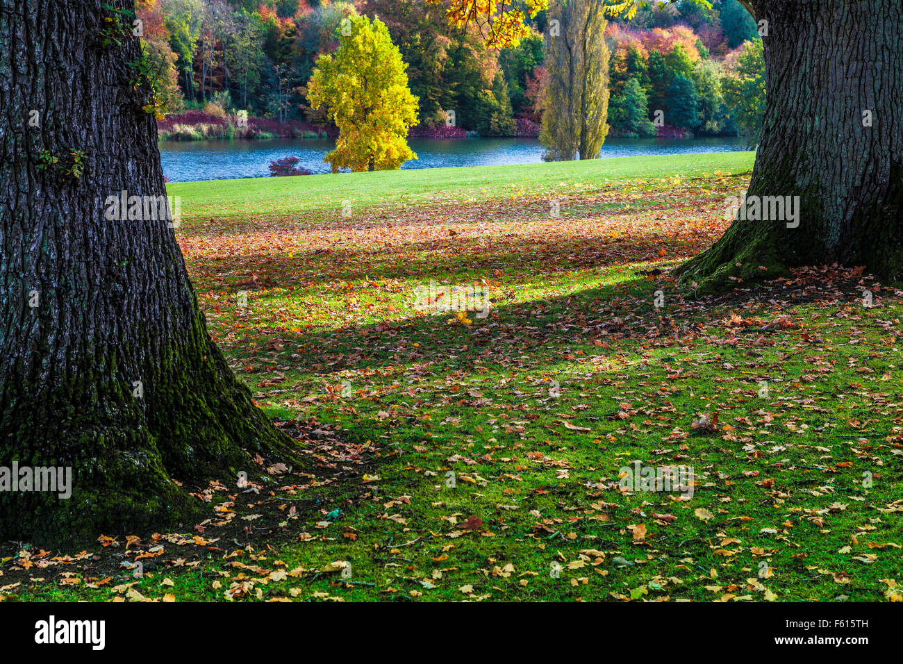 The parkland and lake on the  Bowood Estate in Wiltshire in autumn. Stock Photo