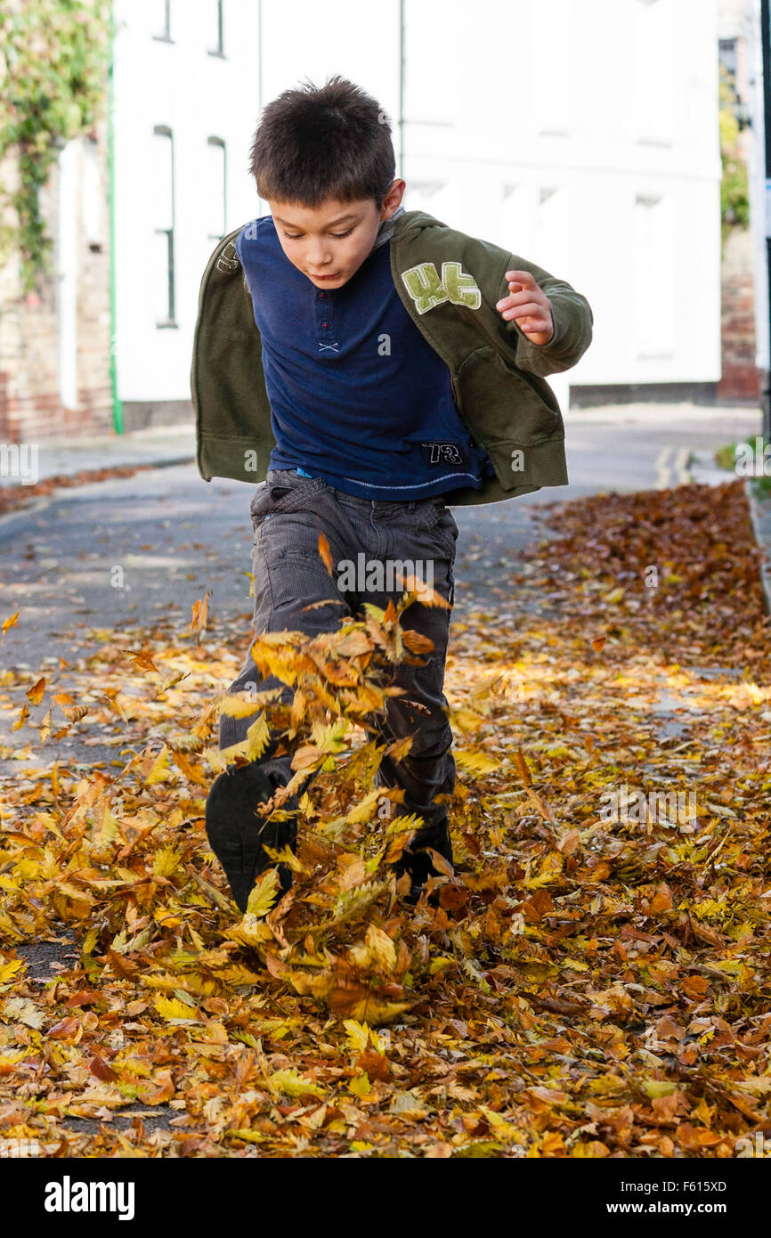 Caucasian child, 8 year old boy. Facing, walking towards viewer, through brown and golden leave covered lane, kicking leaves into air. Autumn. Stock Photo