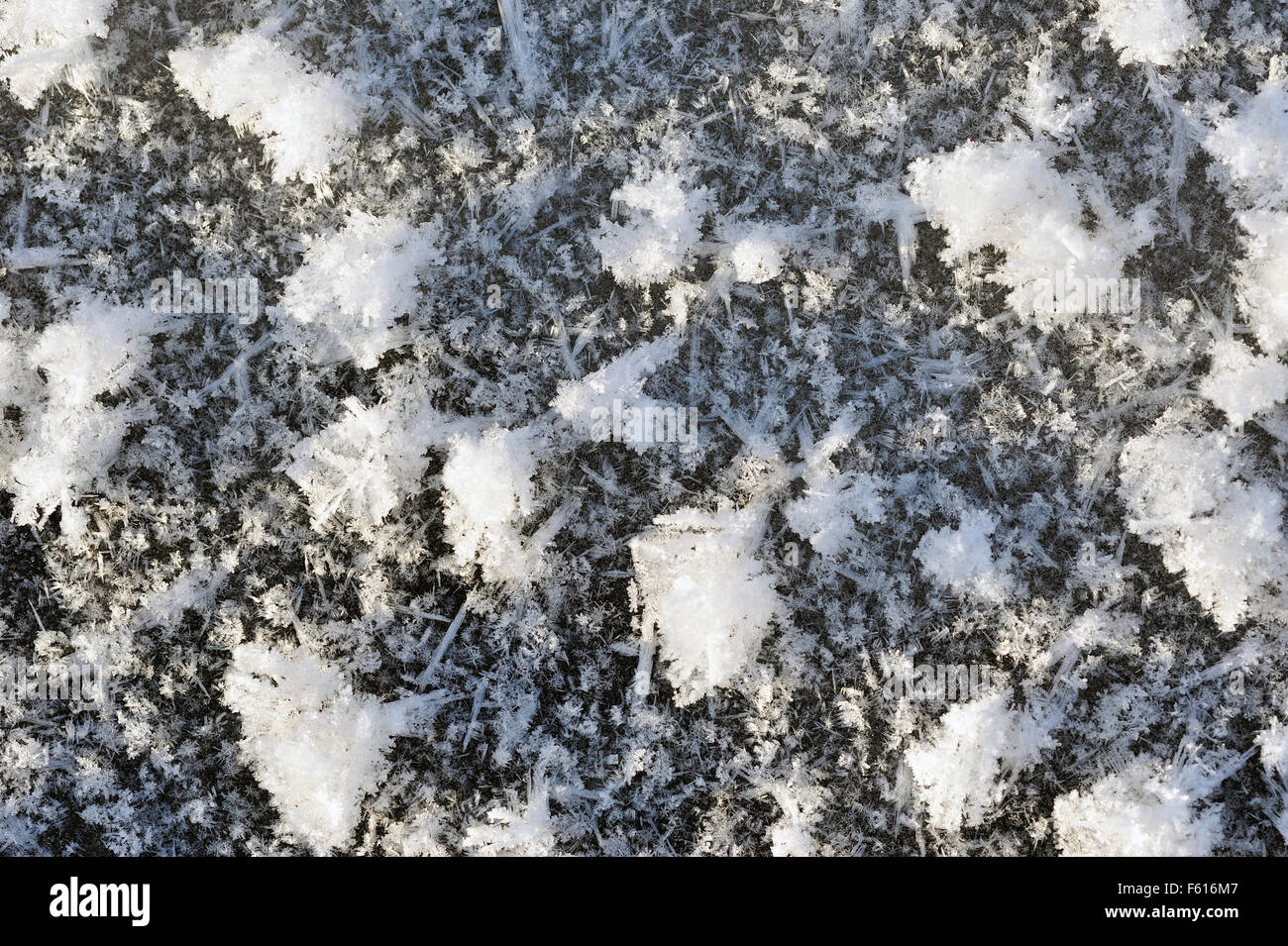 Close up of the hoarfrost texture on ice surface. Stock Photo