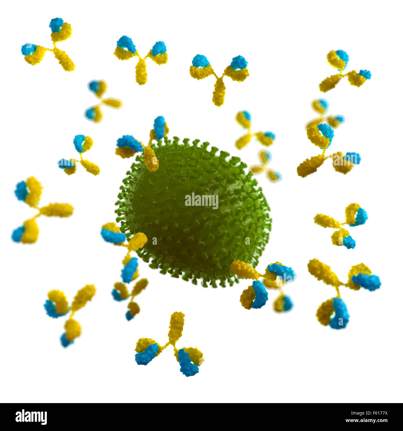 medically accurate illustration of a virus being attacked by antibodies Stock Photo