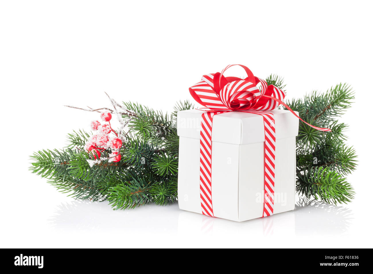 Christmas gift box and fir tree branch. Isolated on white background ...