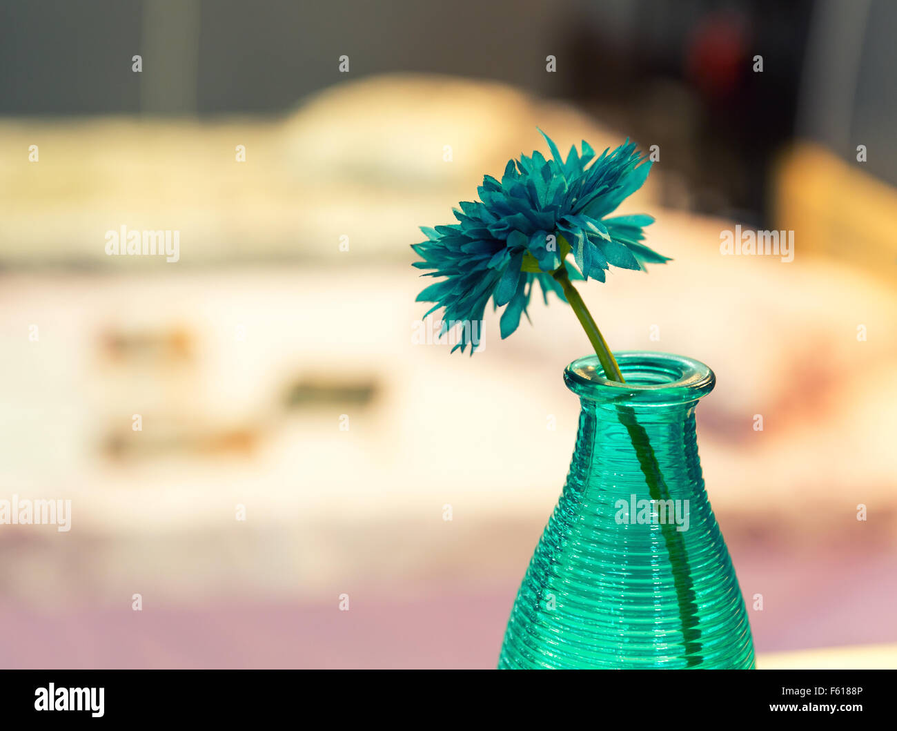 Vase with blue flower with colorful interior closeup Stock Photo Alamy