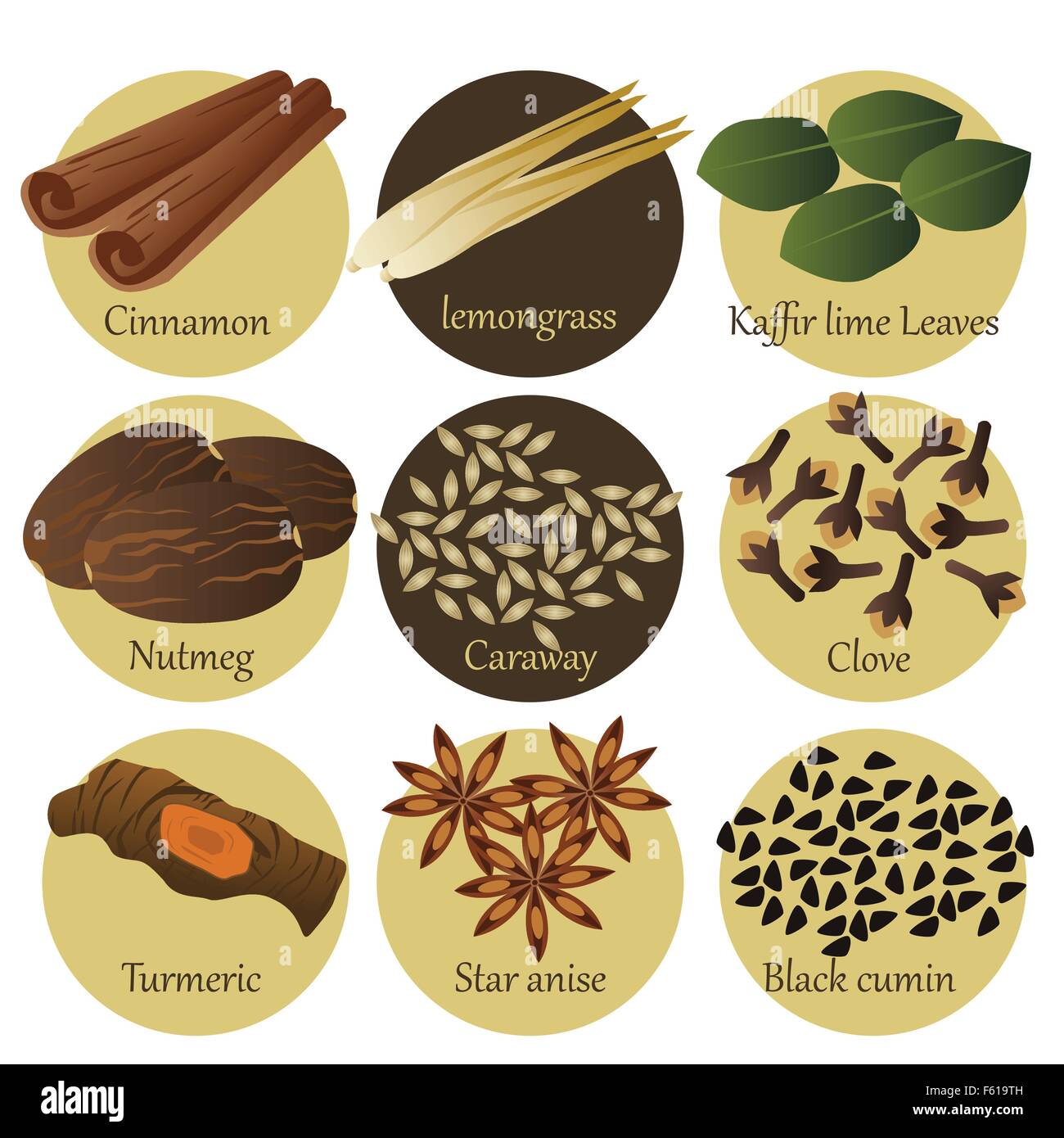 A vector illustration of herb icon sets Stock Vector Image & Art - Alamy