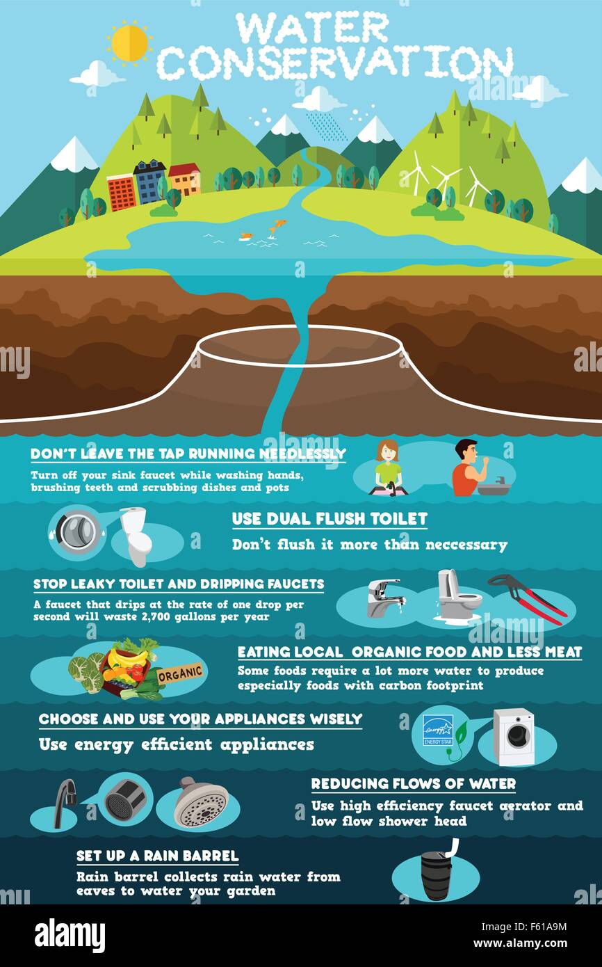 A vector illustration of infographic of water conservation Stock Vector