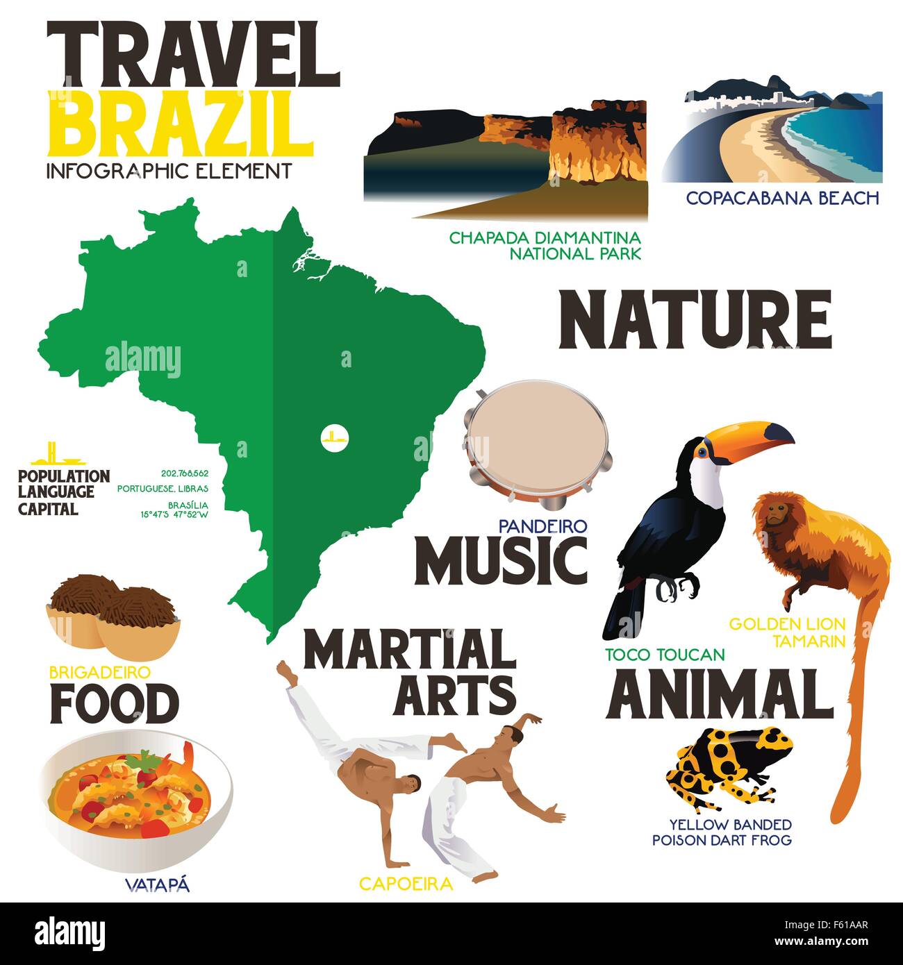 A vector illustration of Infographic elements for traveling to Brazil Stock Vector