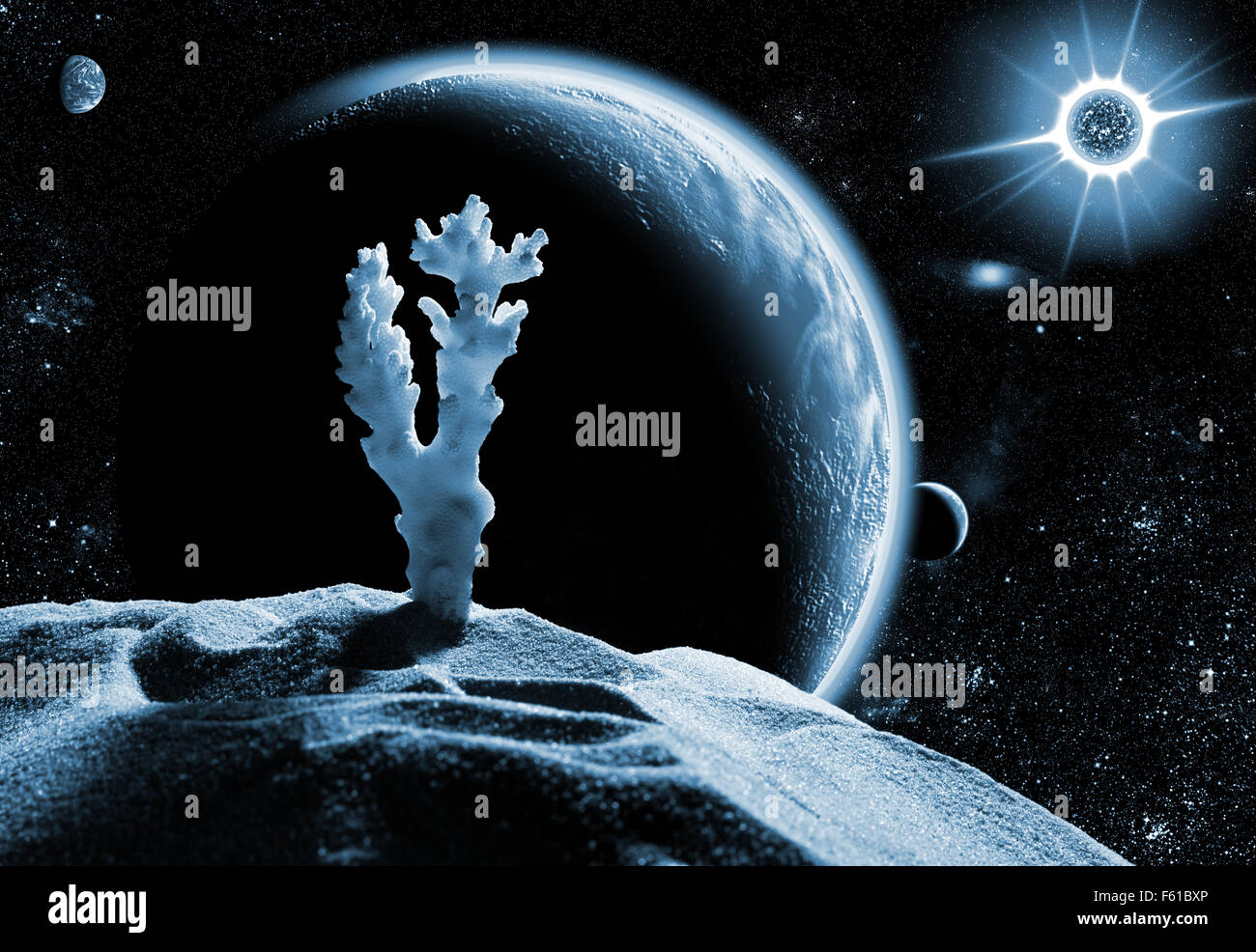 Bush To Planet Earth Drop Dead >> Dead Planet Stock Photos Dead Planet Stock Images Alamy Bush To Planet Earth Drop Dead >> Dead Planet Stock Photos Dead Planet Stock Images Alamy