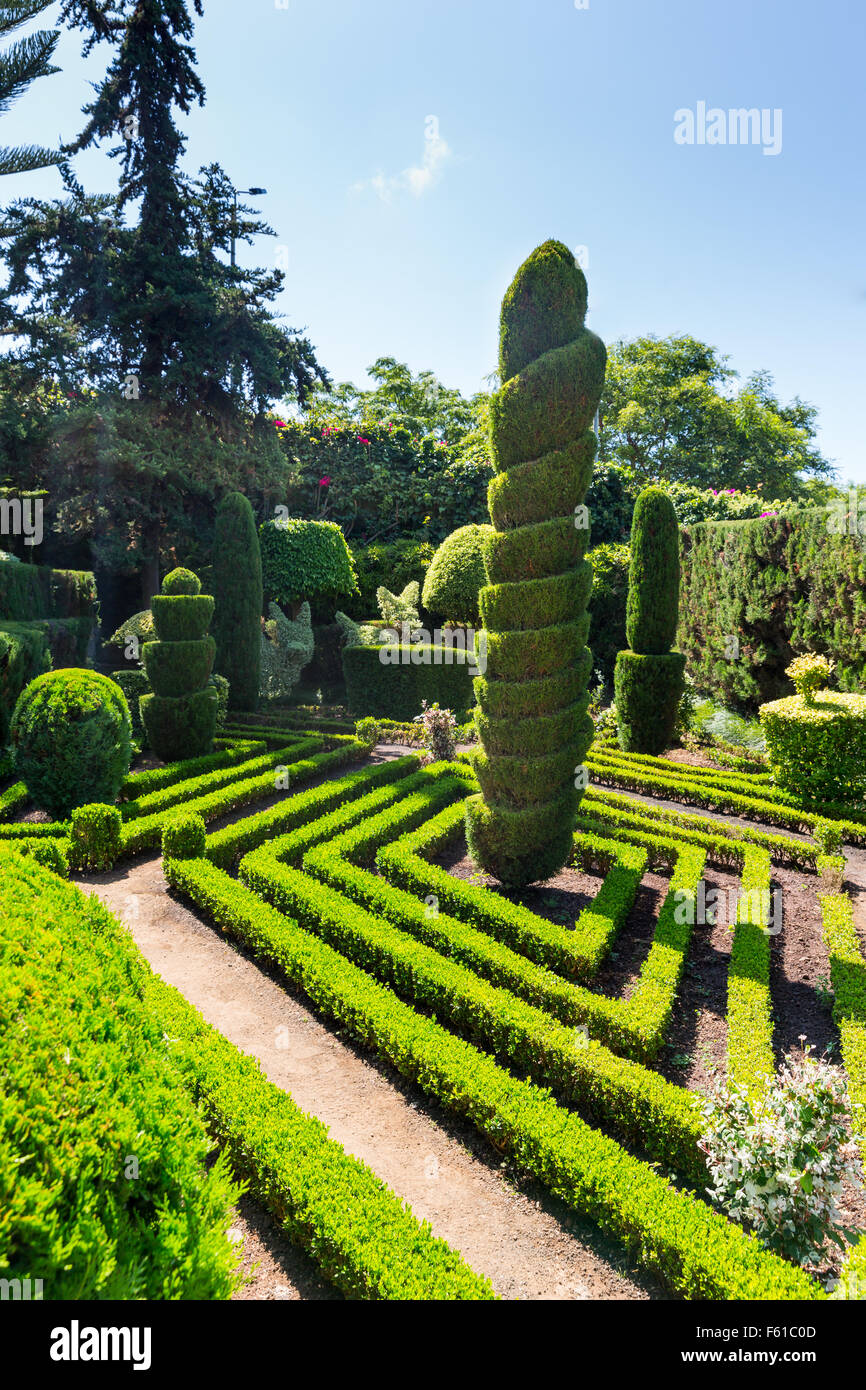 Beautiful decorative green bushes and trees in botanic garden Stock ...
