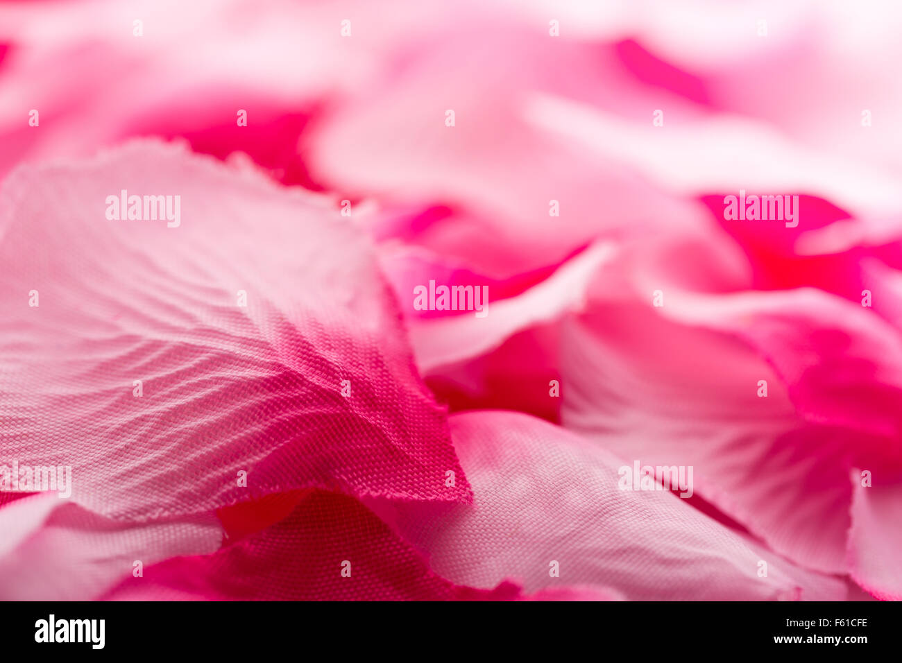 Pink rose petals falling hi-res stock photography and images - Alamy