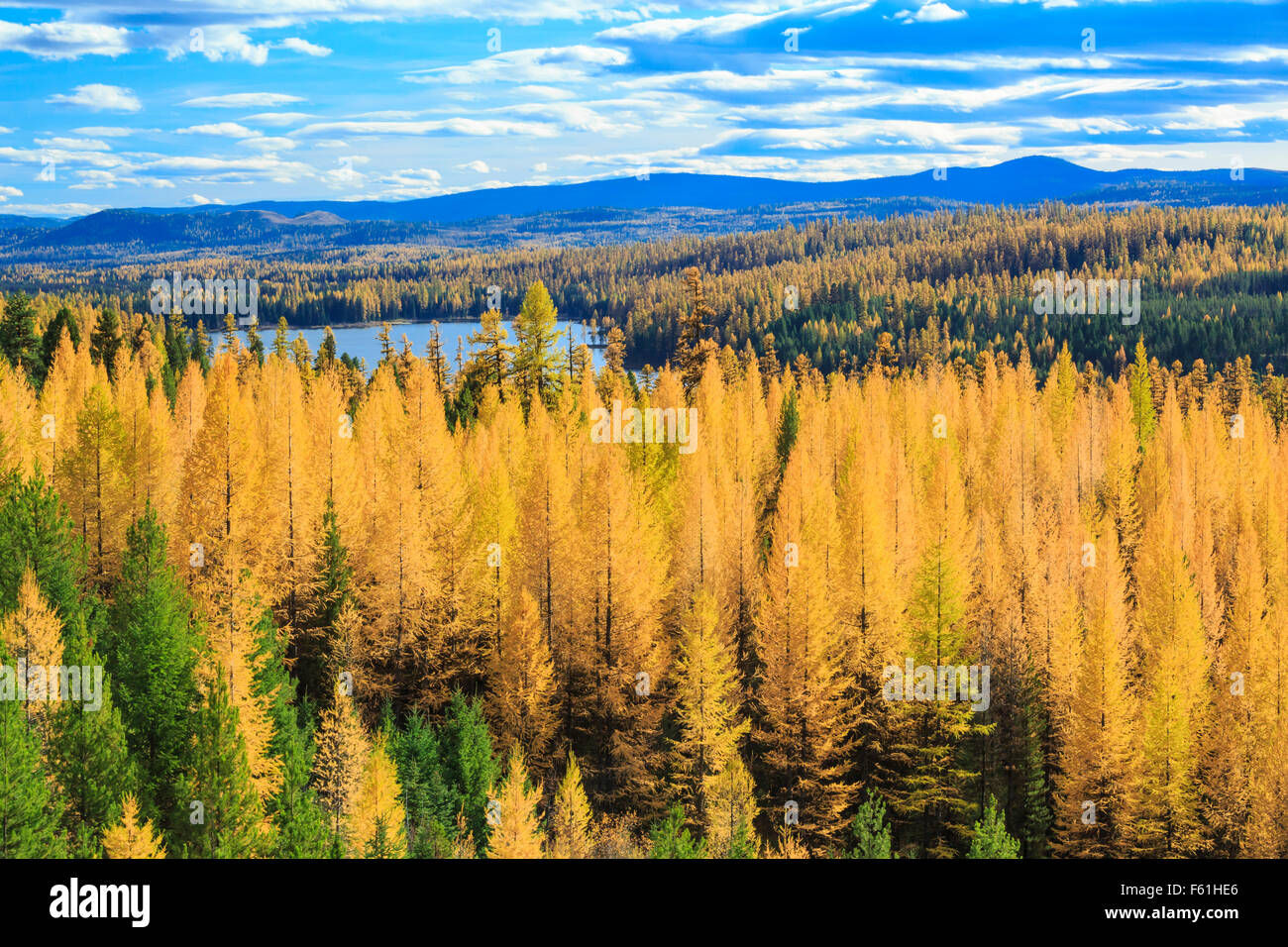 Inez hires stock photography and images Alamy