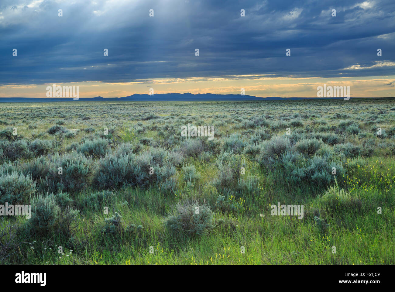 Montana mountains sun ranch hires stock photography and images Alamy