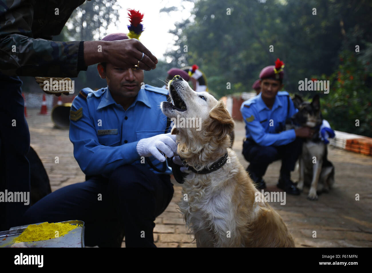Kathmandu, Nepal. 10th Nov, 2015. A citizen offers food to a dog during