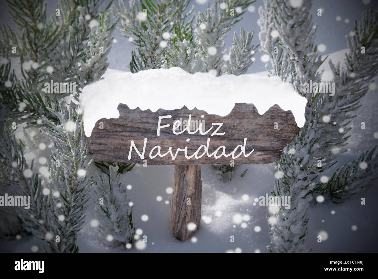 Sign Snowflakes Fir Tree Feliz Navidad Mean Merry Christmas Stock Photo