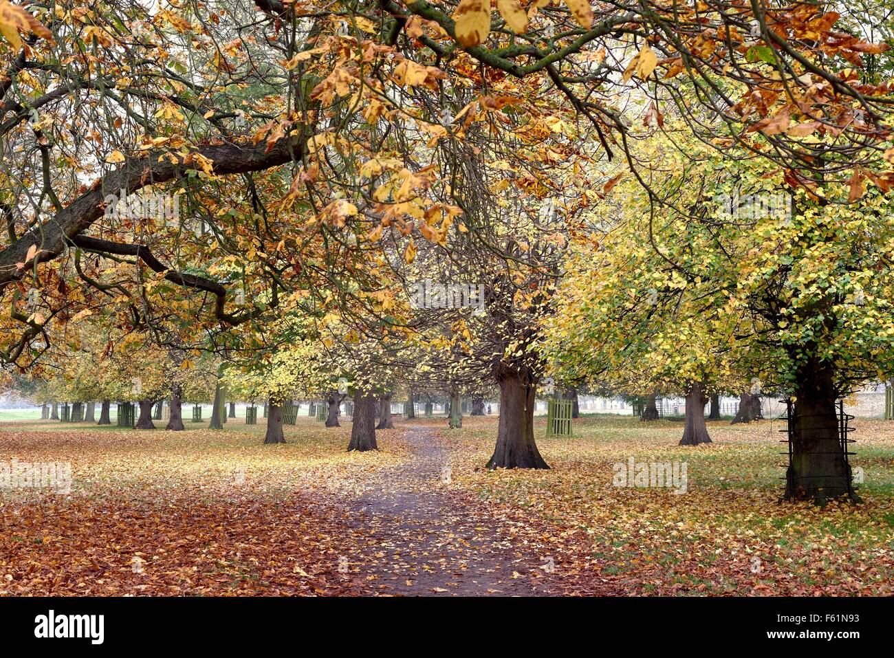 Bushey hires stock photography and images