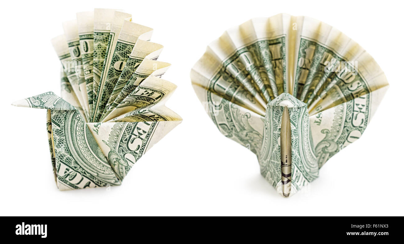 Dollar origami peacock isolated on white background. Moneygami. Stock Photo