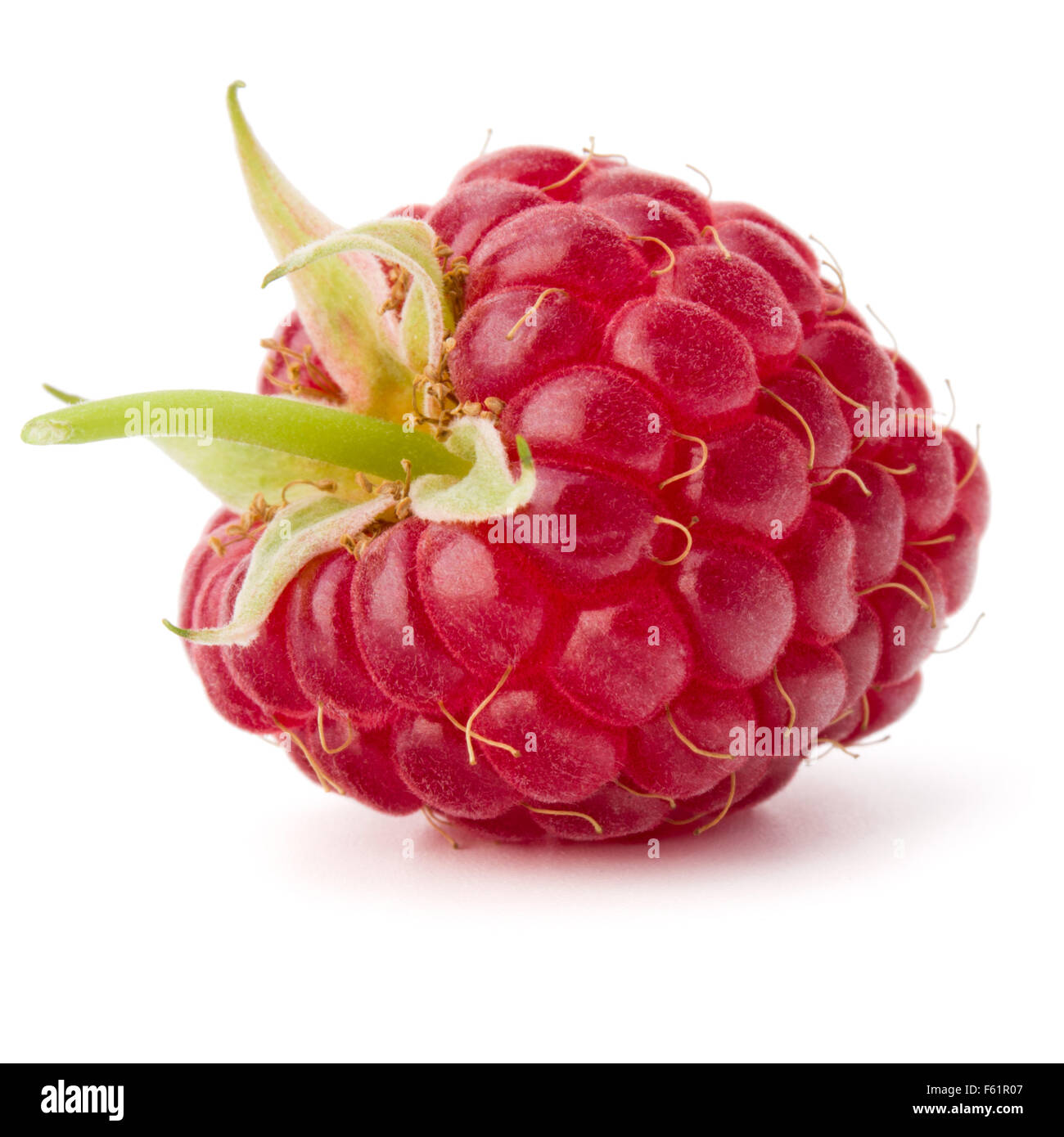 ripe raspberry isolated on white background close up Stock Photo - Alamy