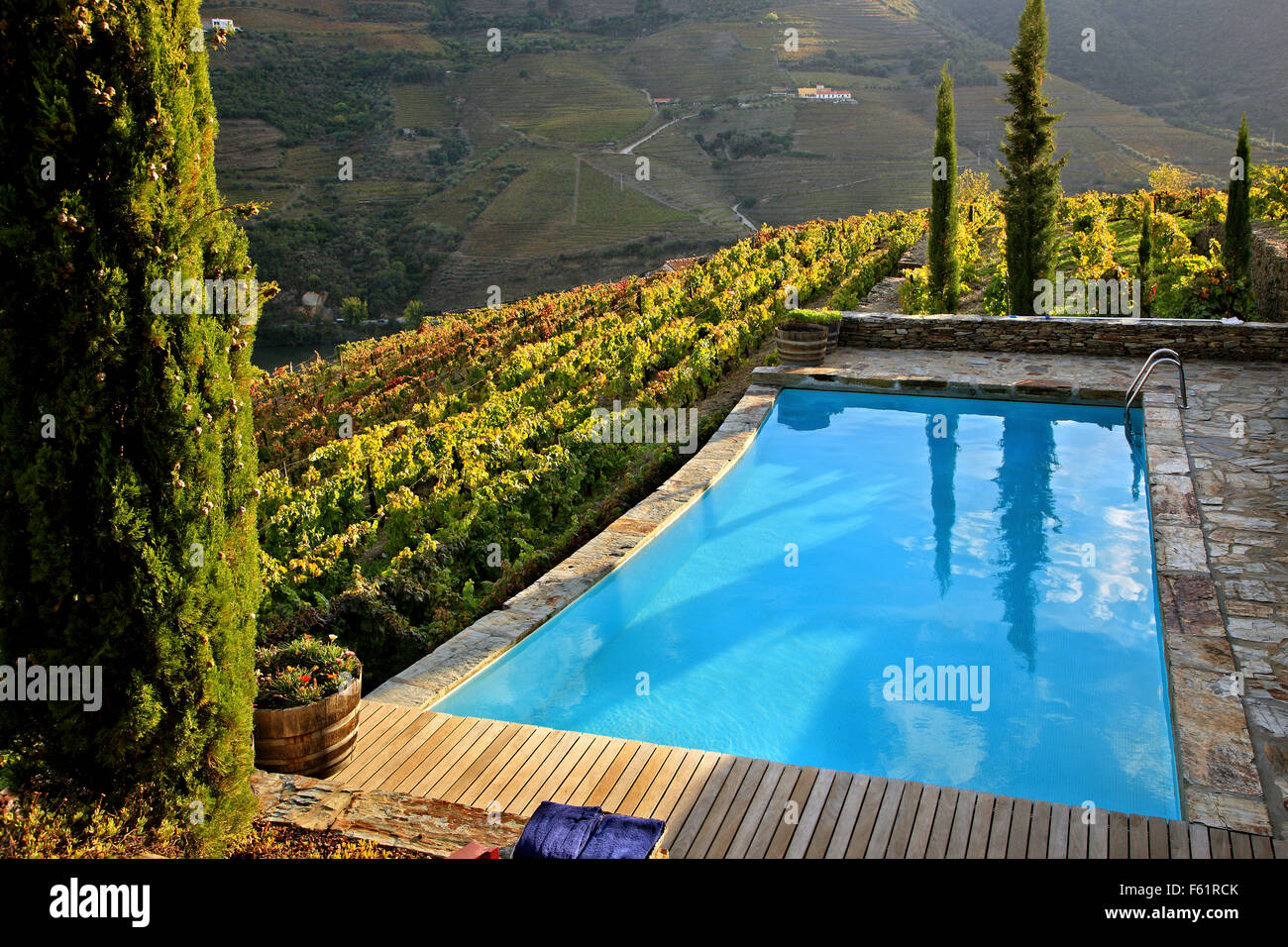 Swimming pool surrounded by vineyards in Quinta Nova luxury winery house, a  beautiful guesthouse in Douro valley, Porto e Norte, Portugal Stock Photo -  Alamy