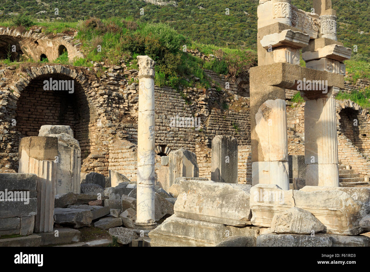 The Temple of Domitian, Ephesus, Selcuk City, Izmir Province, Turkey