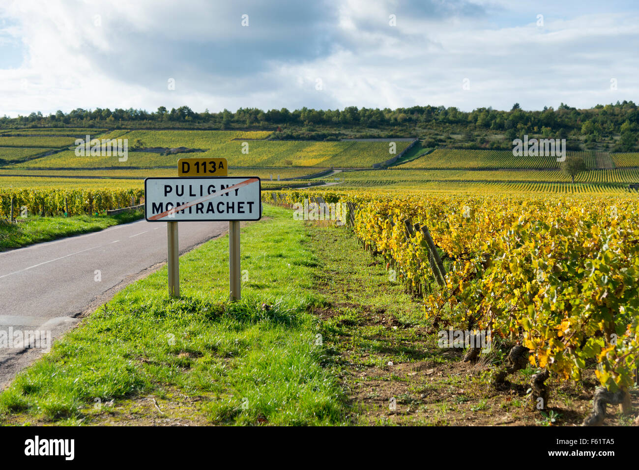 Puligny montrachet vineyard hi-res stock photography and images - Alamy