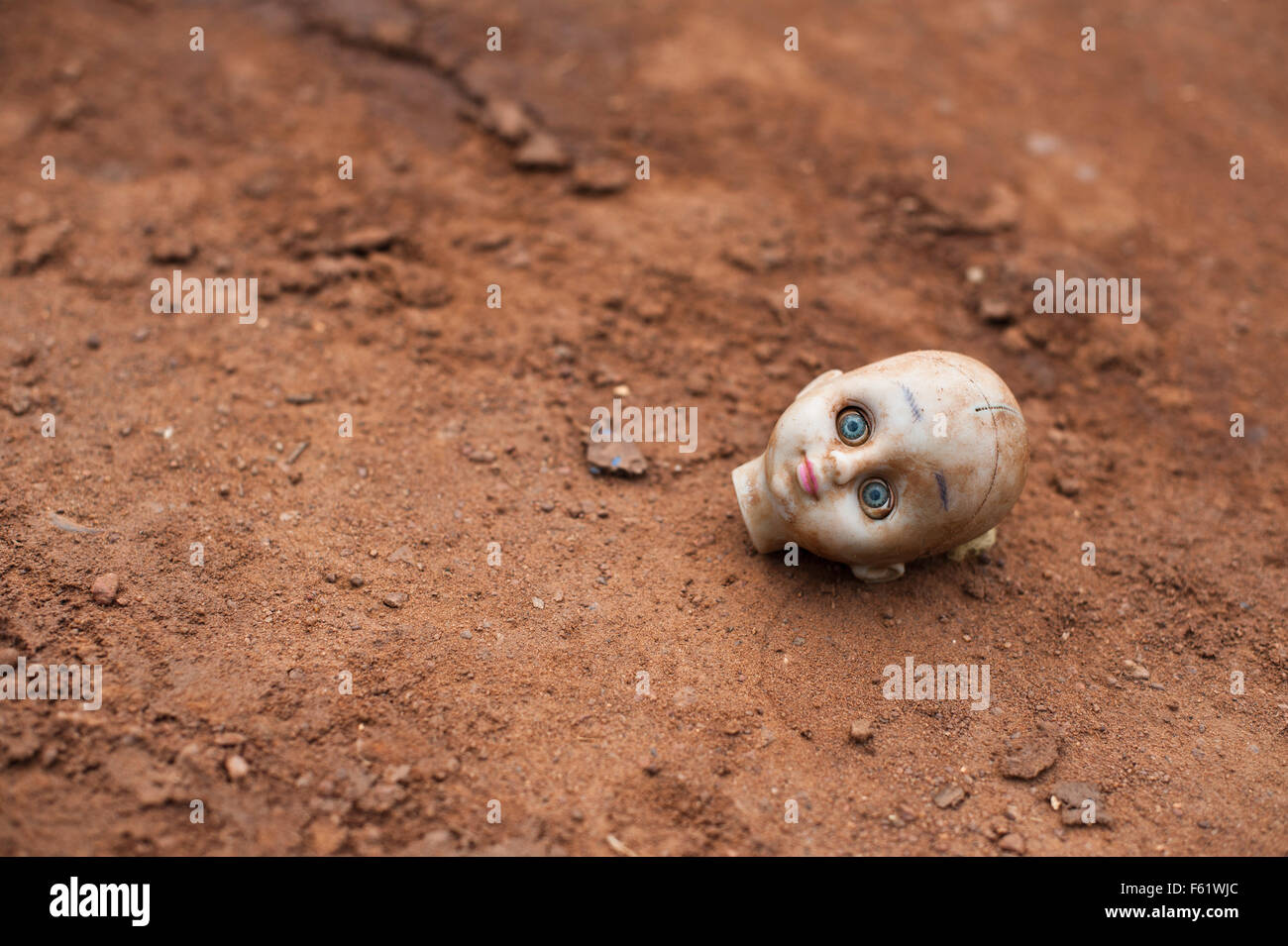 The head of a broken toy is lying in the ground, blue eyes wide opened. Stock Photo