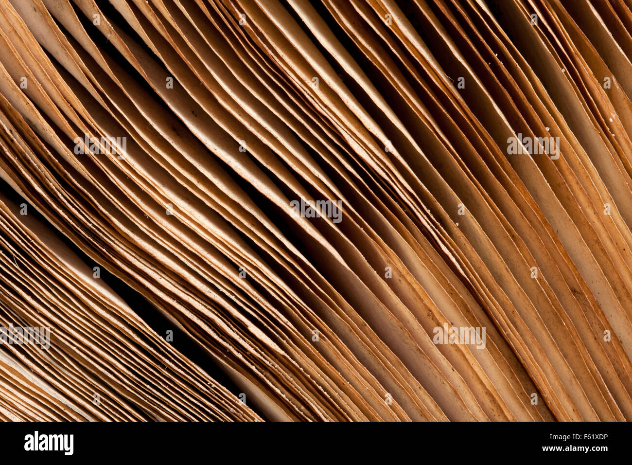 Pages of ancient book. Background or texture Stock Photo
