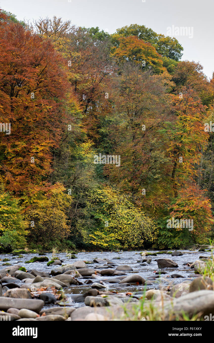 Brecon beacons river hi-res stock photography and images - Alamy