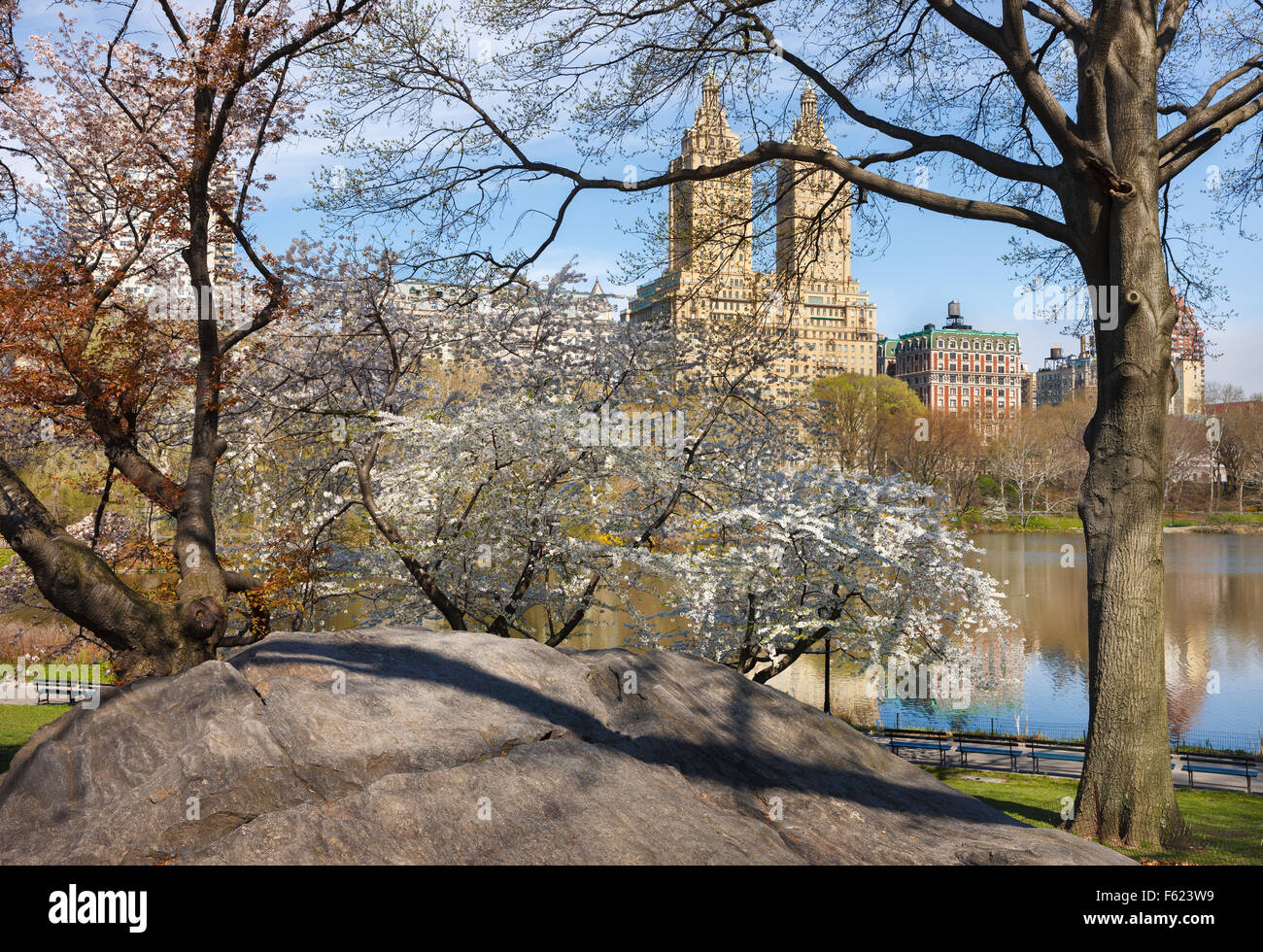 Central Park Lake with blooming Yoshino Cherry Trees in Spring, Manhattan Upper West Side, New Tork City Stock Photo