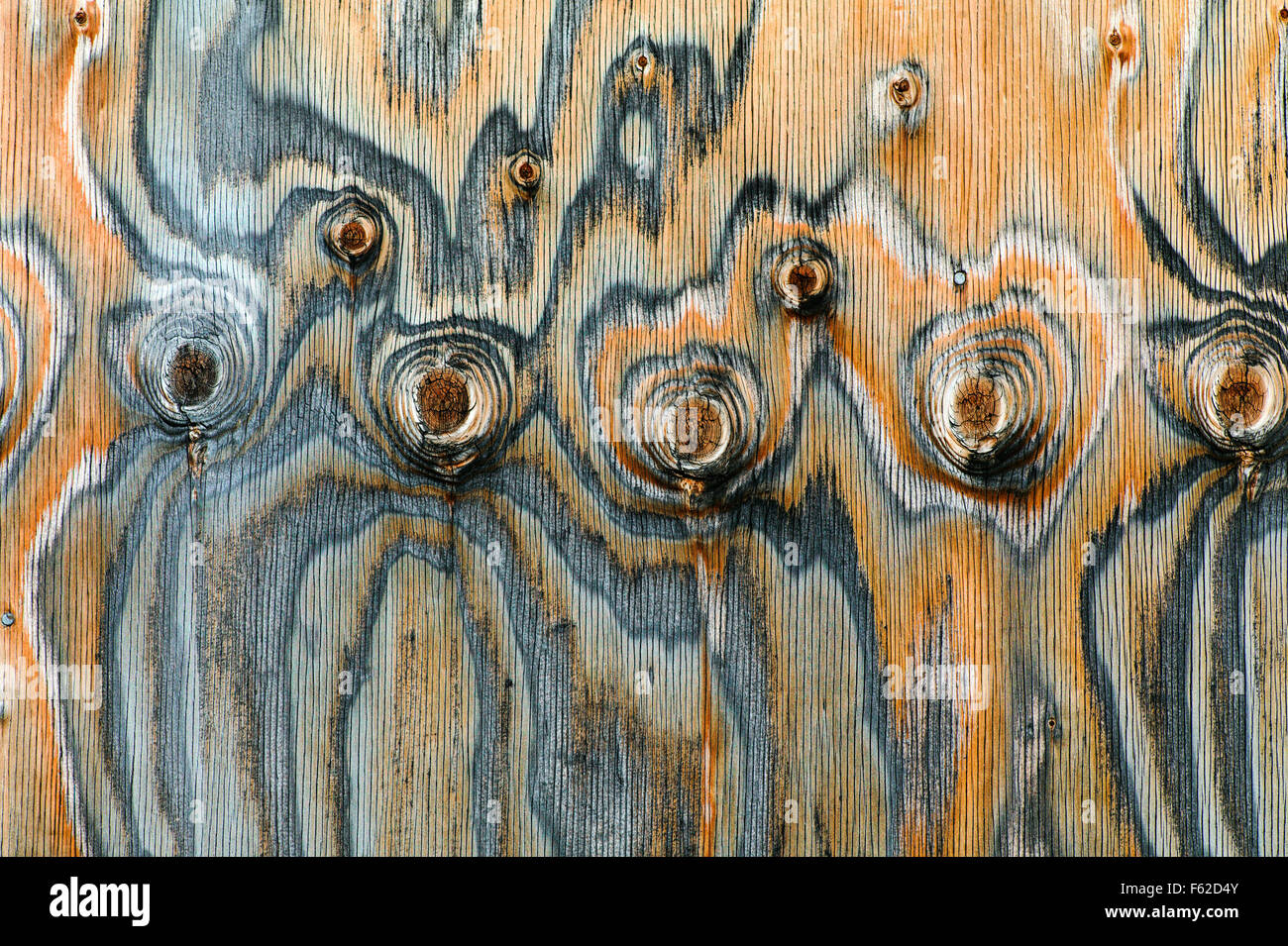 Close-up of historic Thomas Murphy barn siding; unusual pattern of knots; Moulton Homestead; Grand Teton National Park; Wyoming Stock Photo