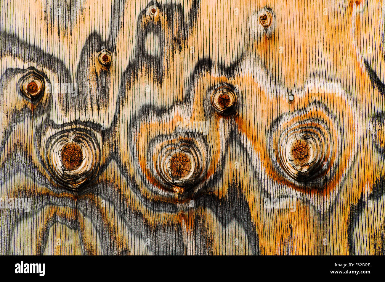 Close-up of historic Thomas Murphy barn siding; unusual pattern of knots; Moulton Homestead; Grand Teton National Park; Wyoming Stock Photo