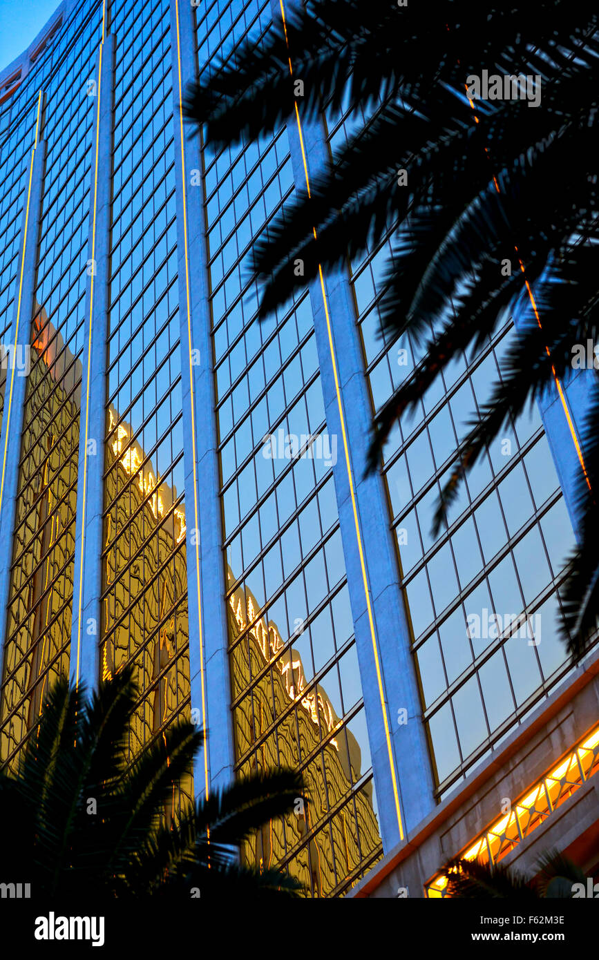 Glass building and palm trees Stock Photo