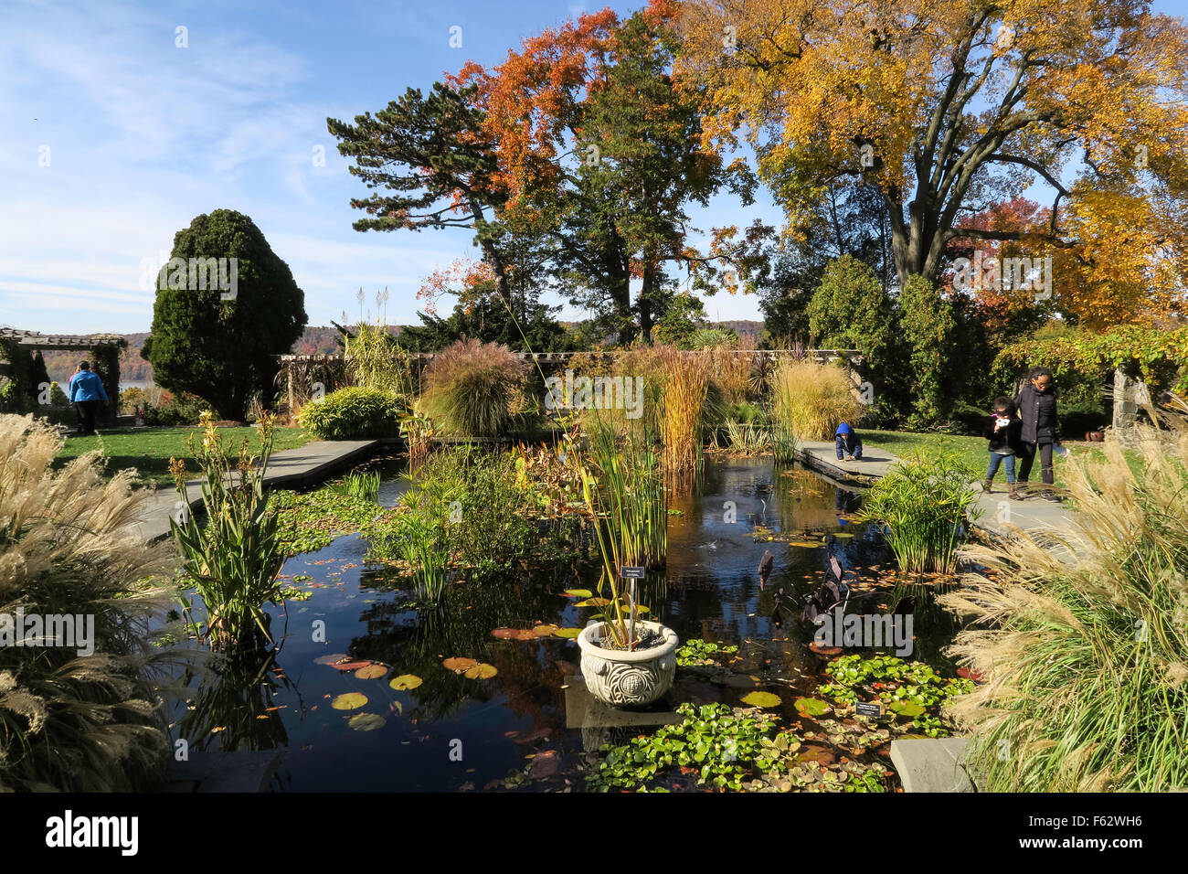 Aquatic Garden at Wave Hill Public Garden in The Bronx, NYC, USA Stock Photo